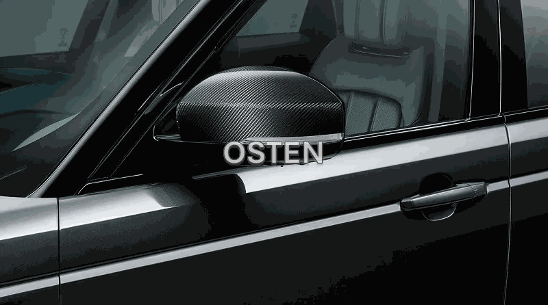 Capa retrovisor - image 0